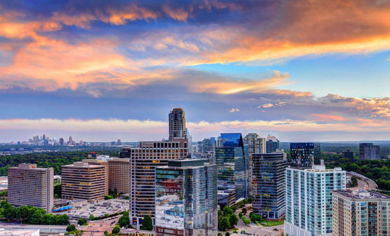 Expert Wildlife Removal in Buckhead, GA