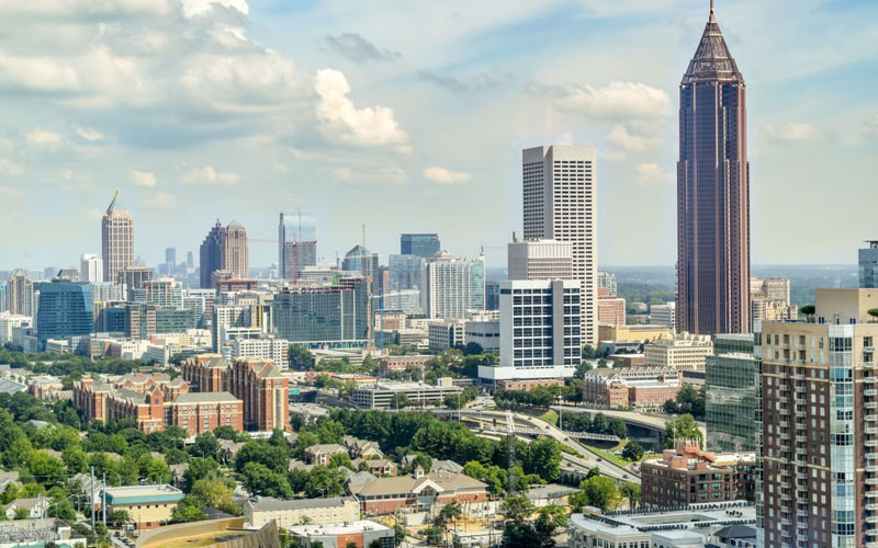 Expert Wildlife Removal in Brookhaven, GA