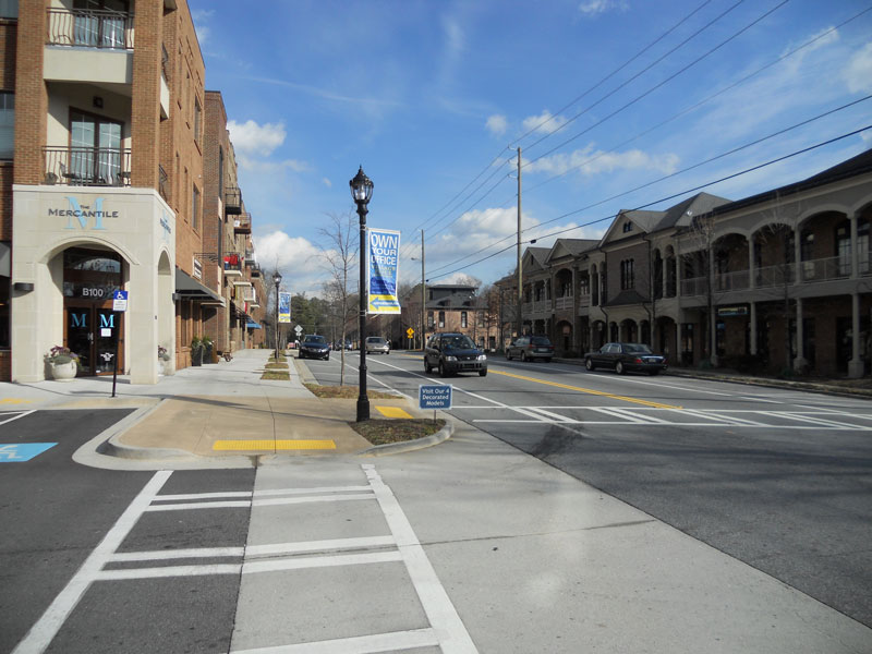 Brookhaven Village Wildlife Removal