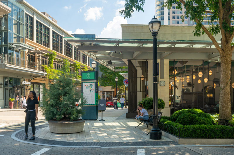 Buckhead Village District Wildlife Removal