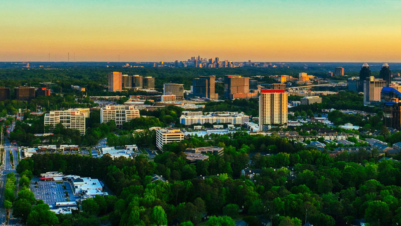 Expert Wildlife Removal in Dunwoody, GA