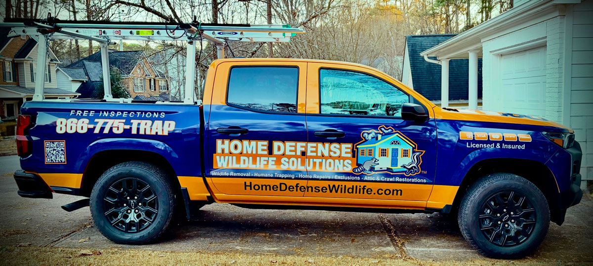 North Georgia Wildlife Removal experts Home Defense Wildlife Solutions truck