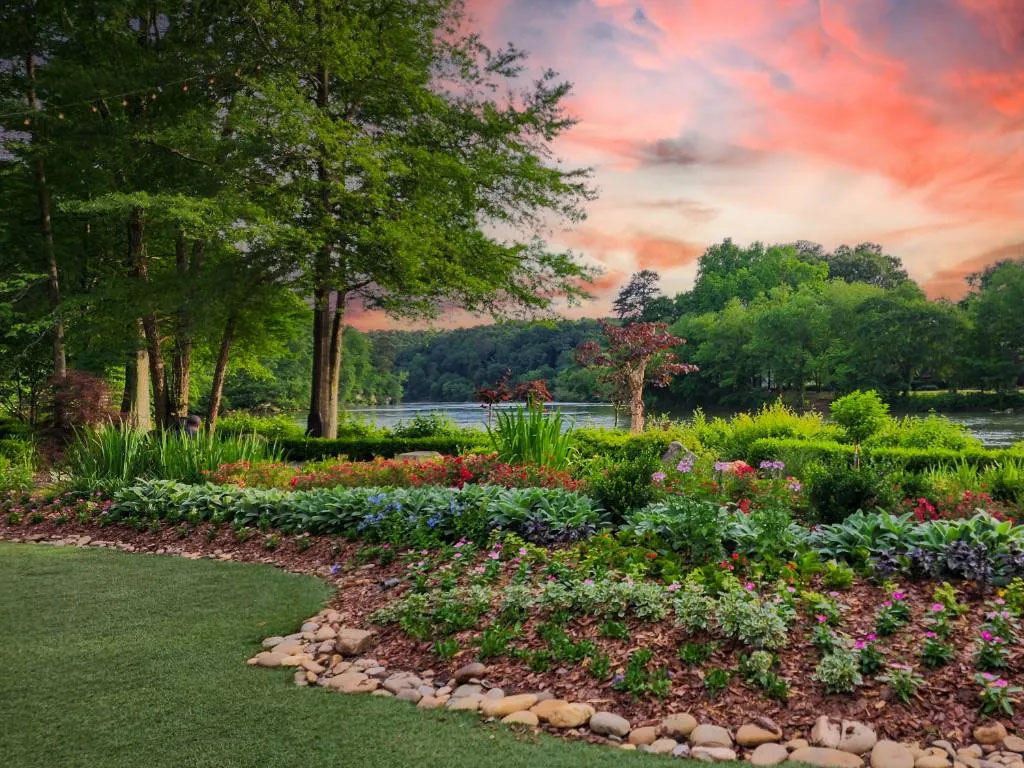 Expert Wildlife Removal in Alpharetta, GA